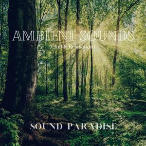 Ambient Sounds