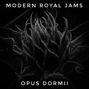 Opus Dormii