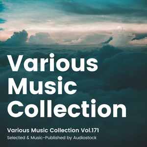 Various Music Collection Vol.171 -Selected & Music-Published by Audiostock-