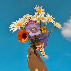 It's a Beautiful Day