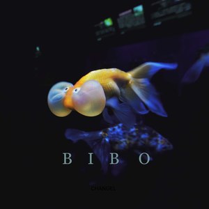 BIBO