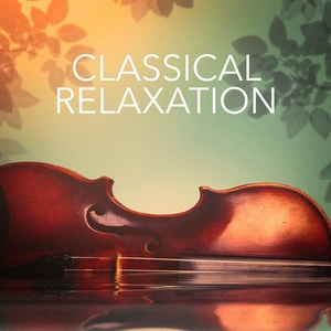 Classical Relaxation