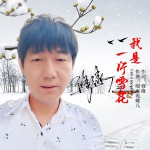 我是一片雪花 (伴奏)