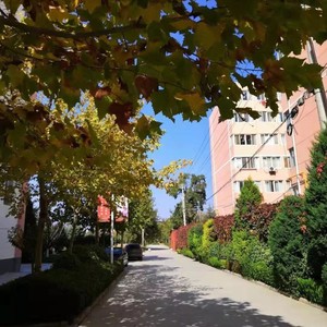 为了明天的辉煌