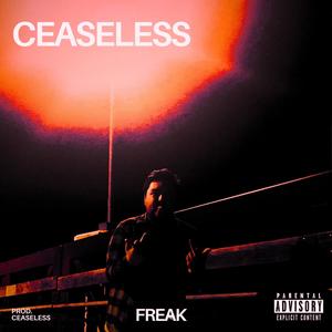 FREAK (Explicit)