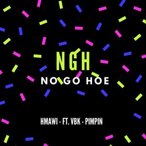 No Go Hoe (feat. Vbk & PIMPIN)