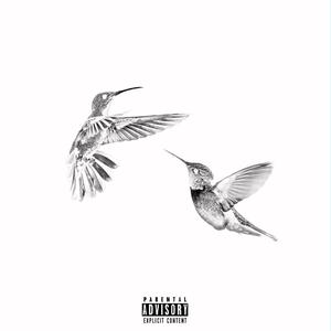 Hit Me Back (Explicit)