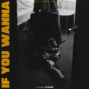 If You Wanna (Explicit)