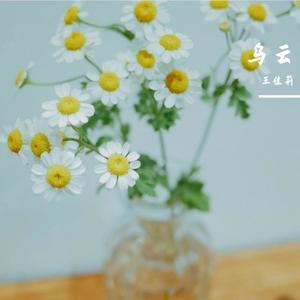 爱情宣判 - 王佳莉封面