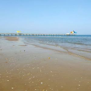 李宗盛-为你我受冷风吹 (逸 remix)