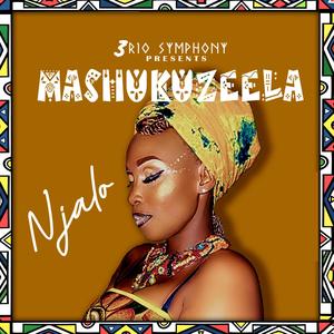 Njalo (feat. Mashukuzeela)