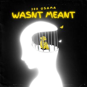 Wasn't Meant (Explicit)