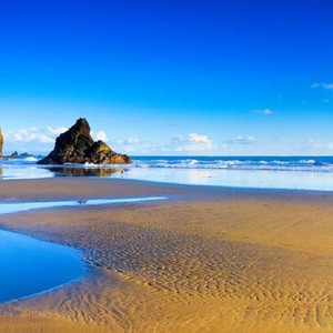 从此爱上你 (琵琶版)