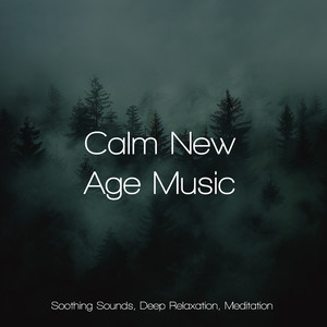 Calm New Age Music (Soothing Sounds, Deep Relaxation, Meditation)