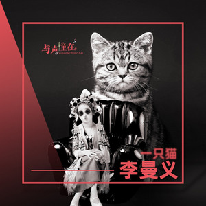 一只猫