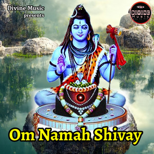 Om Namah Shivay