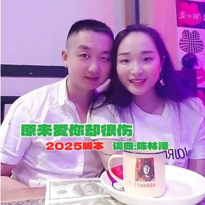 陈林泽 - 原来爱你却很伤 (伴奏)