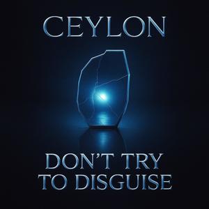 Don't try to disguise