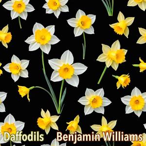 Daffodils