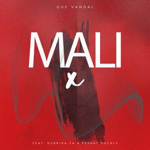 Mali (feat. Dubrina ZA & Peekay Vocals)