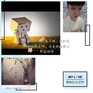 你只会说爱我