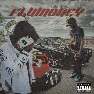 FluMoney (Explicit)