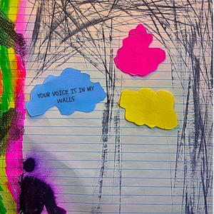 your voice is in my walls (Explicit)