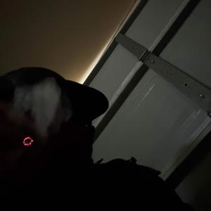 Pulling Stunts (feat. 16 Shotz)