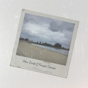 How Could I Forget Dexter