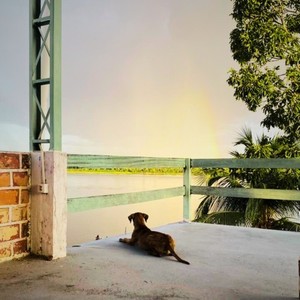 Ainda Não Chegou Ao Fim