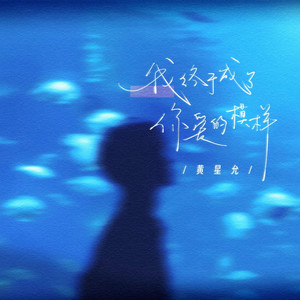 我终于成了你爱的模样