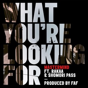 What You're Looking For(feat. Rakaa & Shomori Pass)