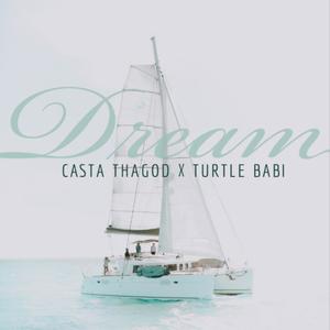 Dream (feat. turtle babi) [Explicit]