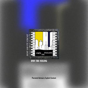 Own the Feeling (Explicit)