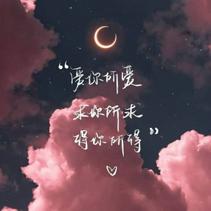 起风了 (小提琴版)封面