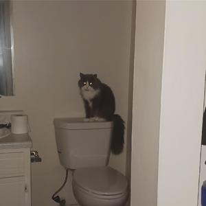 13 year old me would love this song (Explicit)