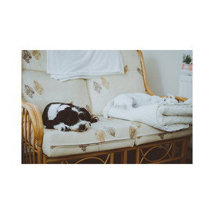 听到后面你会飘