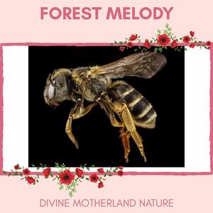 Forest Melody - Divine MotherLand Nature