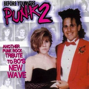 Before You Were Punk 2