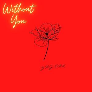 Without You
