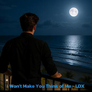 I Won't Make You Think of Me