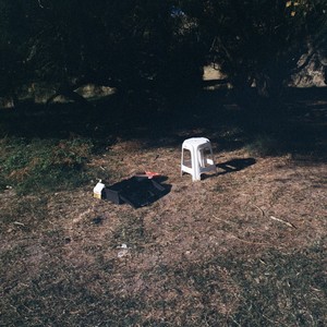 La Flor y la Estatua