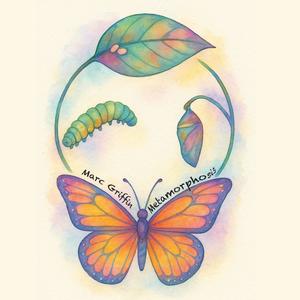 Metamorphosis (Explicit)