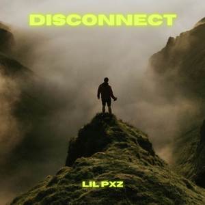 DISCONNECT (Explicit)