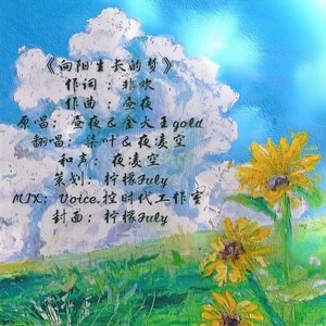 向阳生长的梦