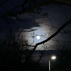 SKYPE (FREESTYLE) (Explicit)