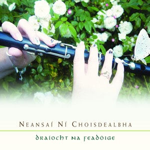 Draíocht Na Feadóige