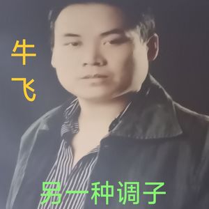 另一种调子