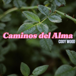 Caminos del Alma