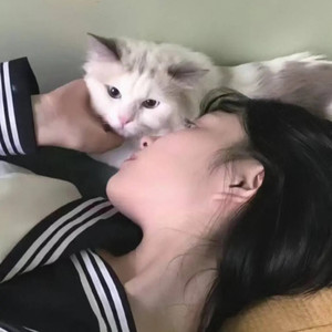 我知道你还是爱着我